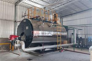 河南鄭州化工企業WNS型4噸燃氣蒸汽鍋爐項目